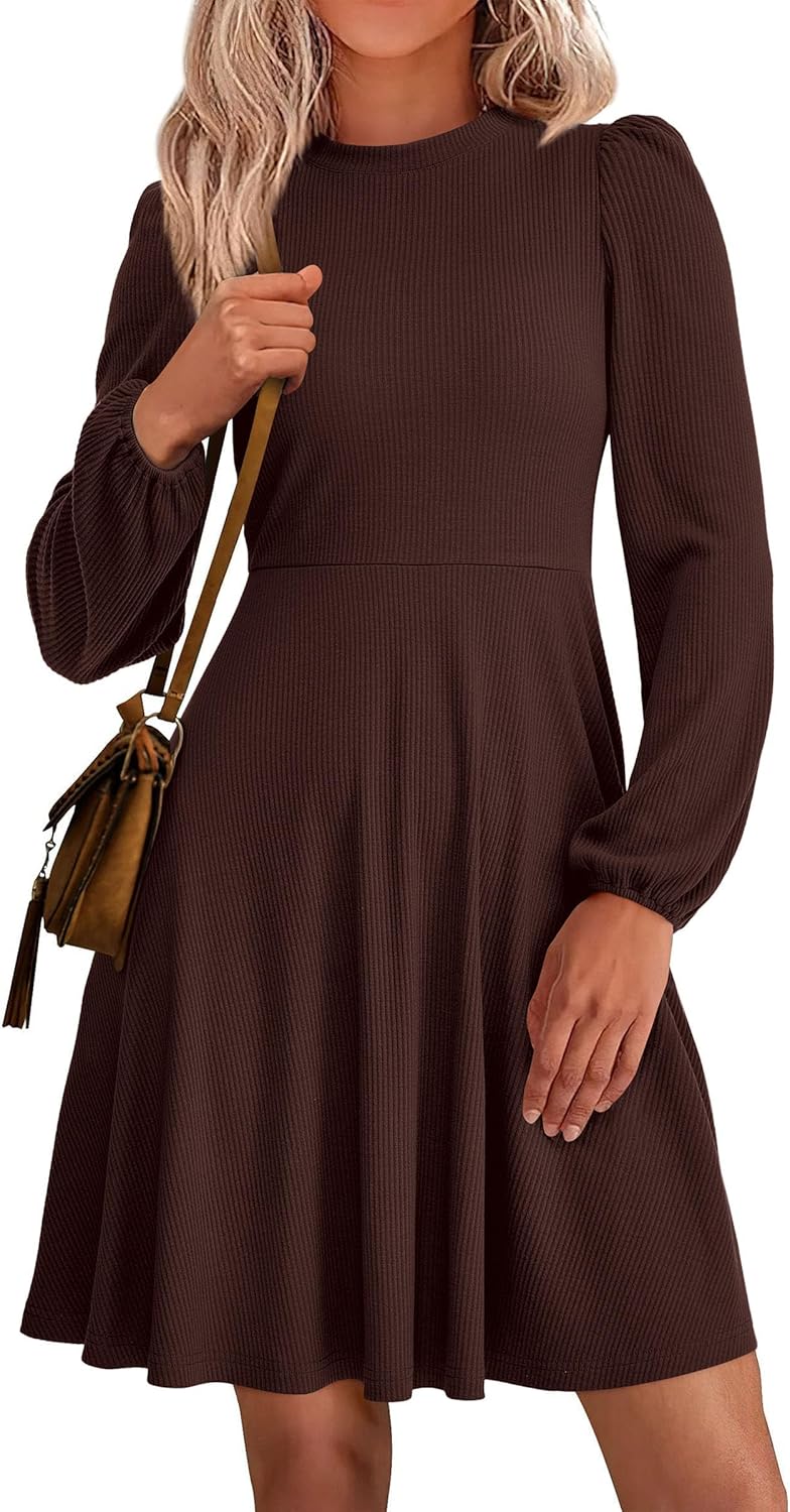 PRETTYGARDEN Womens Long Sleeve Mini Dress 2025 Fall Trendy Crewneck Ribbed Knit Soft A Line Flowy Summer Formal Dresses